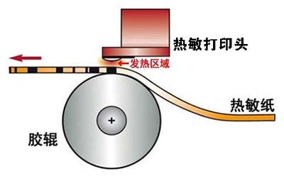 膠輥與熱敏打印頭