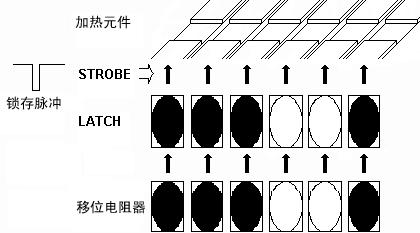 熱敏打印頭從移位電阻器到鎖存器的數(shù)據(jù)輸出